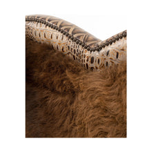 Load image into Gallery viewer, Yellowstone Curved Tufted Sectional Sofa