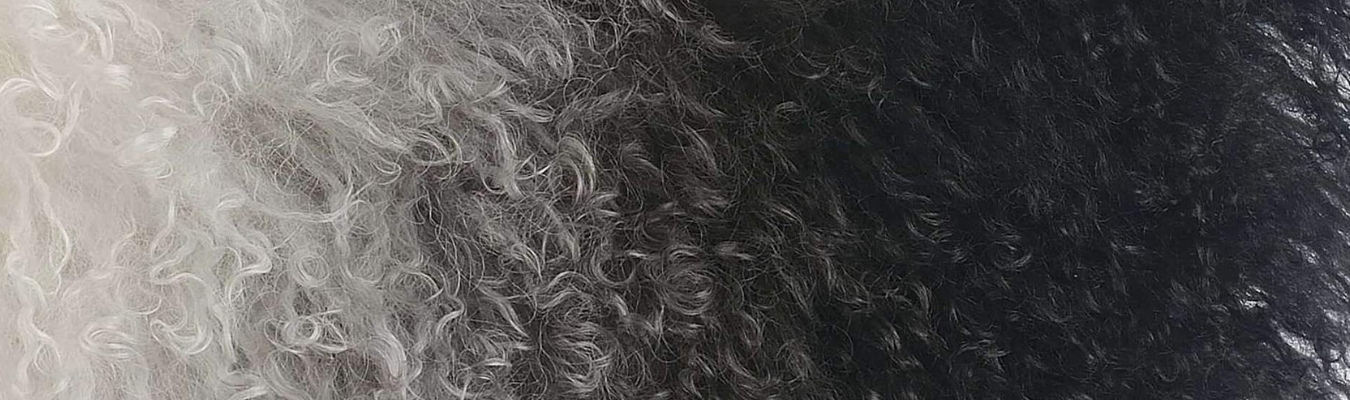 Tibetan Sheep Pelts