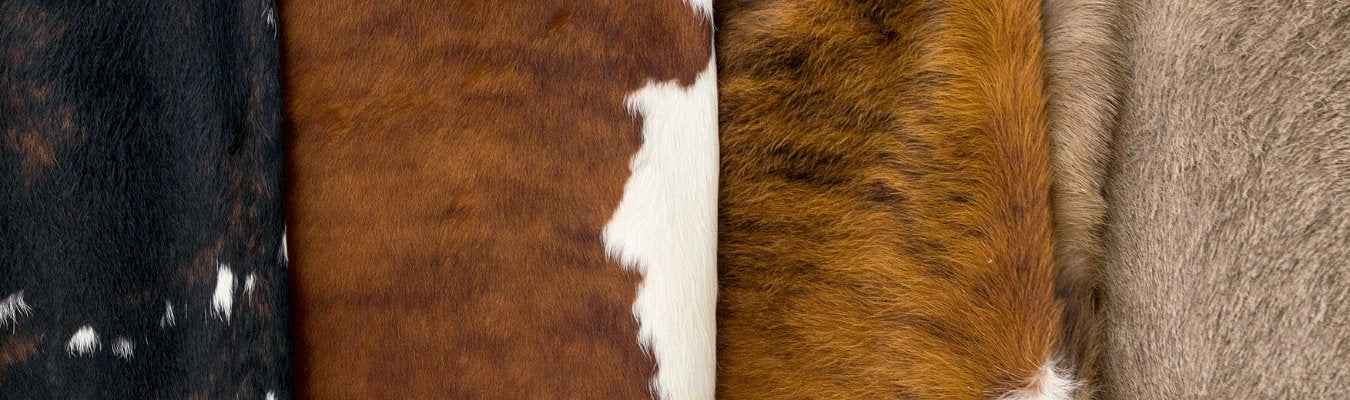 Cowhides, Rugs, Pillows, & Accessories