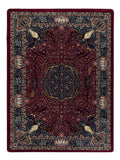 Image of an area rug, Trophy Room - Burgundy