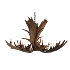 10 Light Medium Moose Antler Chandelier