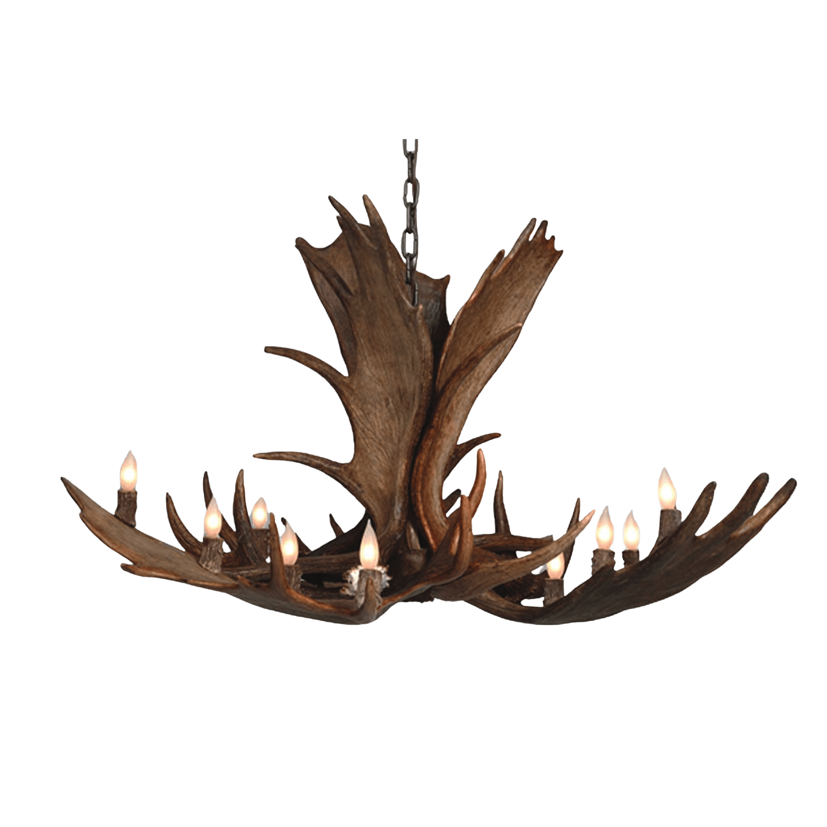 10 Light Medium Moose Antler Chandelier