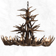Load image into Gallery viewer, 10 Light Whitetail Cascade Antler Chandelier