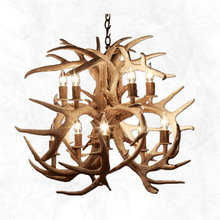 Load image into Gallery viewer, 10 Light Bloom Mule Deer Antler Chandelier