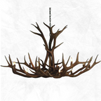 12 Light Single Tier Elk Antler Chandelier