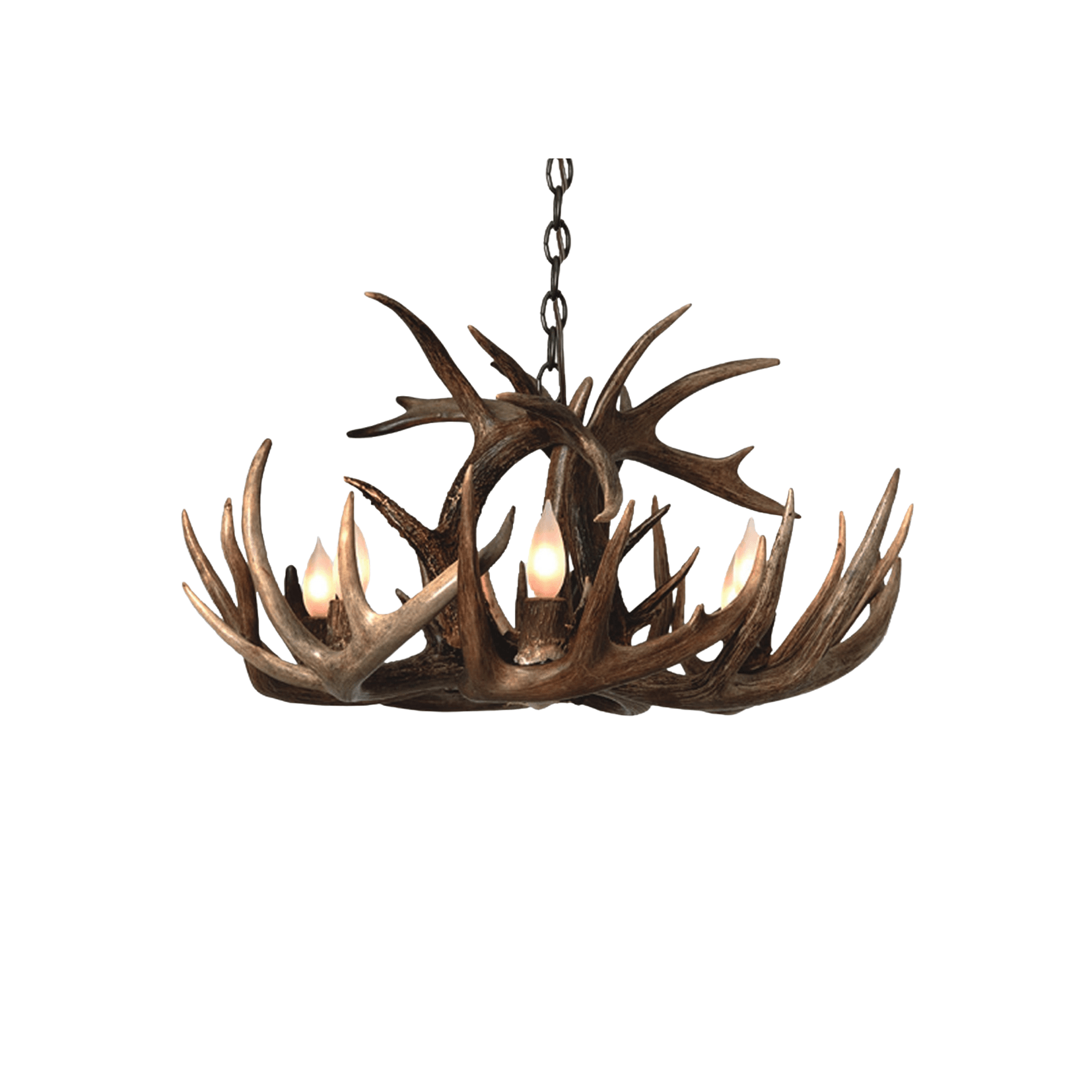 Single Tier Whitetail Antler Chandelier