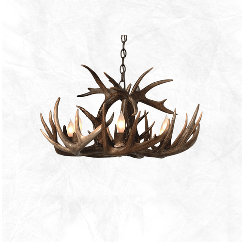 Single Tier Whitetail Antler Chandelier