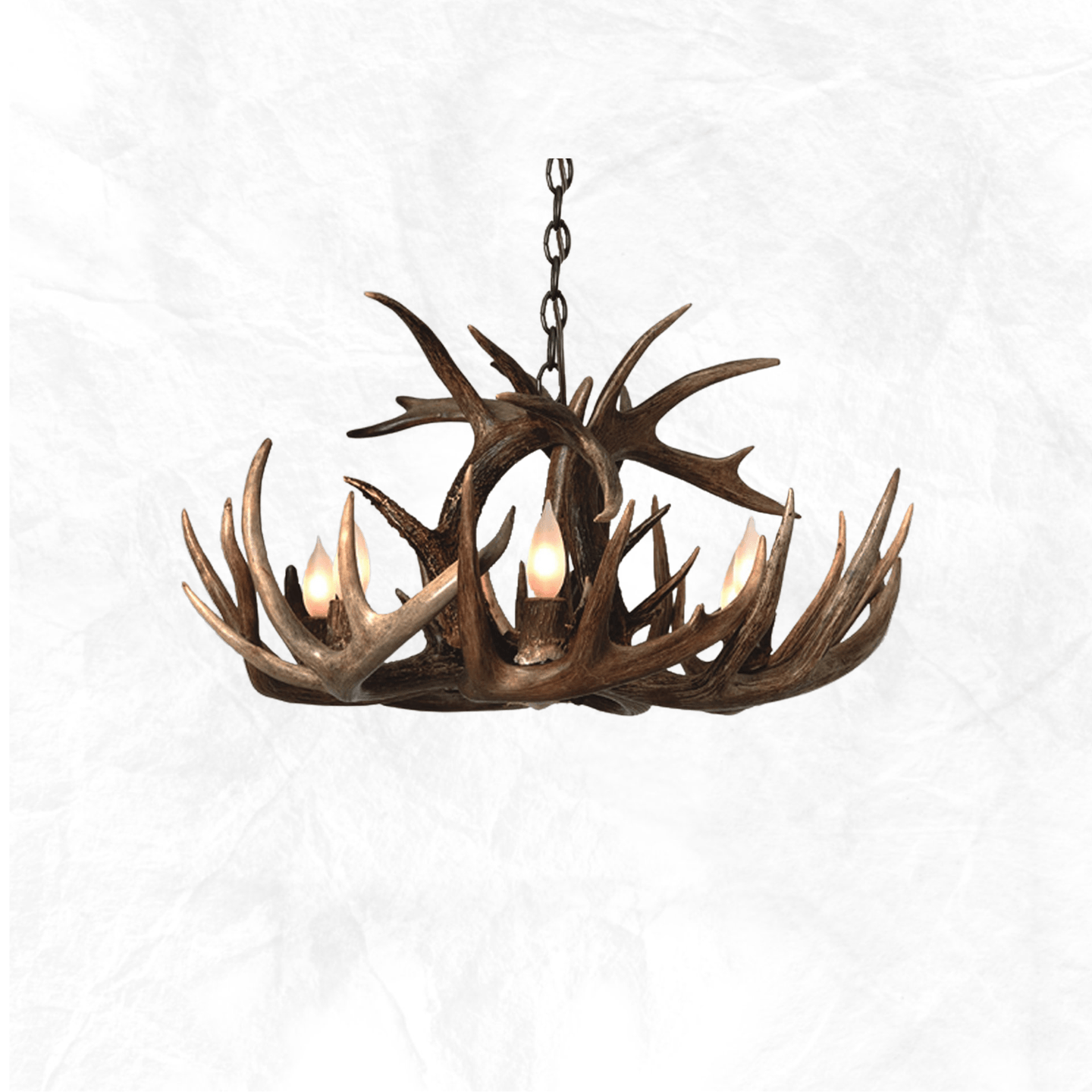 Single Tier Whitetail Antler Chandelier