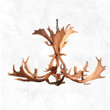 Load image into Gallery viewer, 6 Light Fallow Antler Chandelier