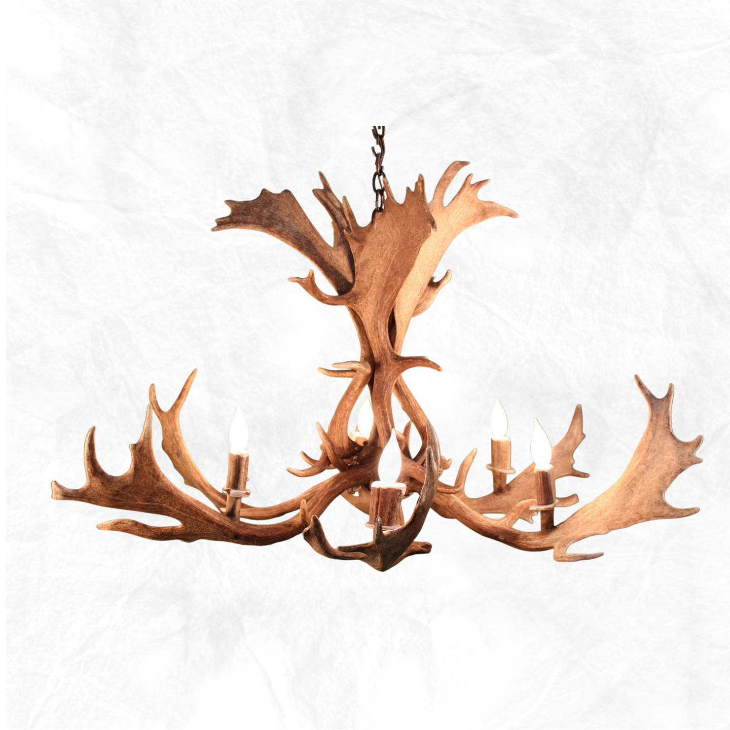 6 Light Fallow Antler Chandelier