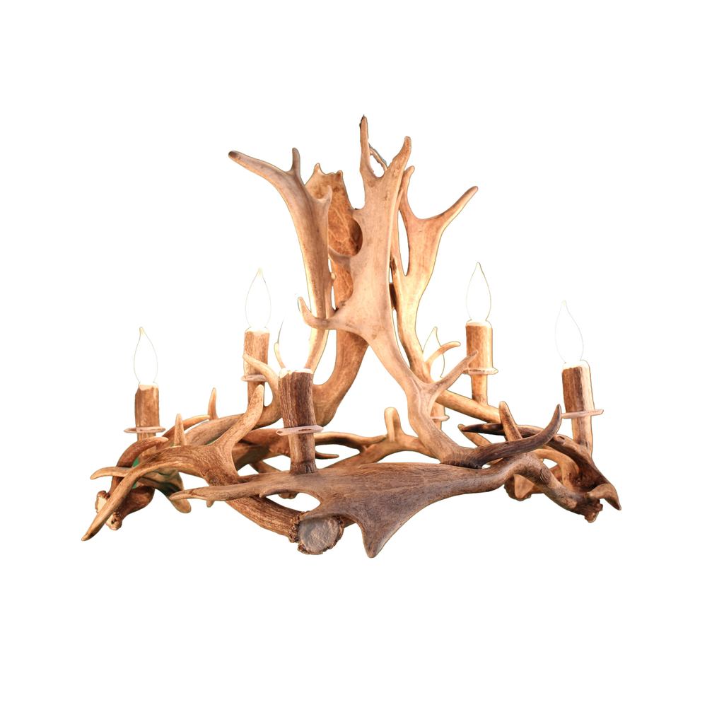 6 Light Fallow Ring Antler Chandelier