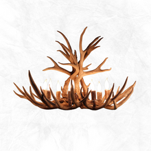 Load image into Gallery viewer, 8 Light Oval Mule Deer Antler Chandelier - The Roosevelt