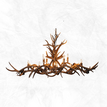 Load image into Gallery viewer, 8 Light Small Oblong Inverted Mule Deer Antler Chandelier