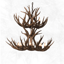 Load image into Gallery viewer, Double Tier Mule Deer Chandelier