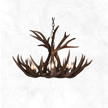 Load image into Gallery viewer, 8 Light Medium Mule Deer Antler Chandelier