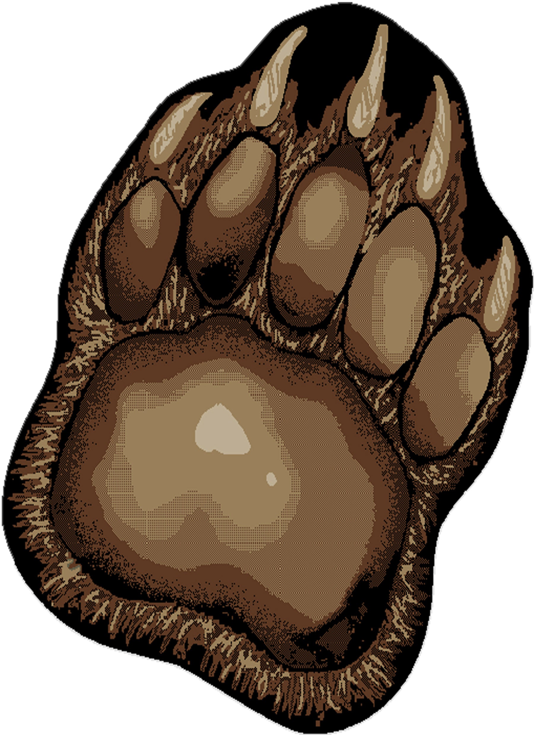 American Destination Bear Trail Multi Area Rug