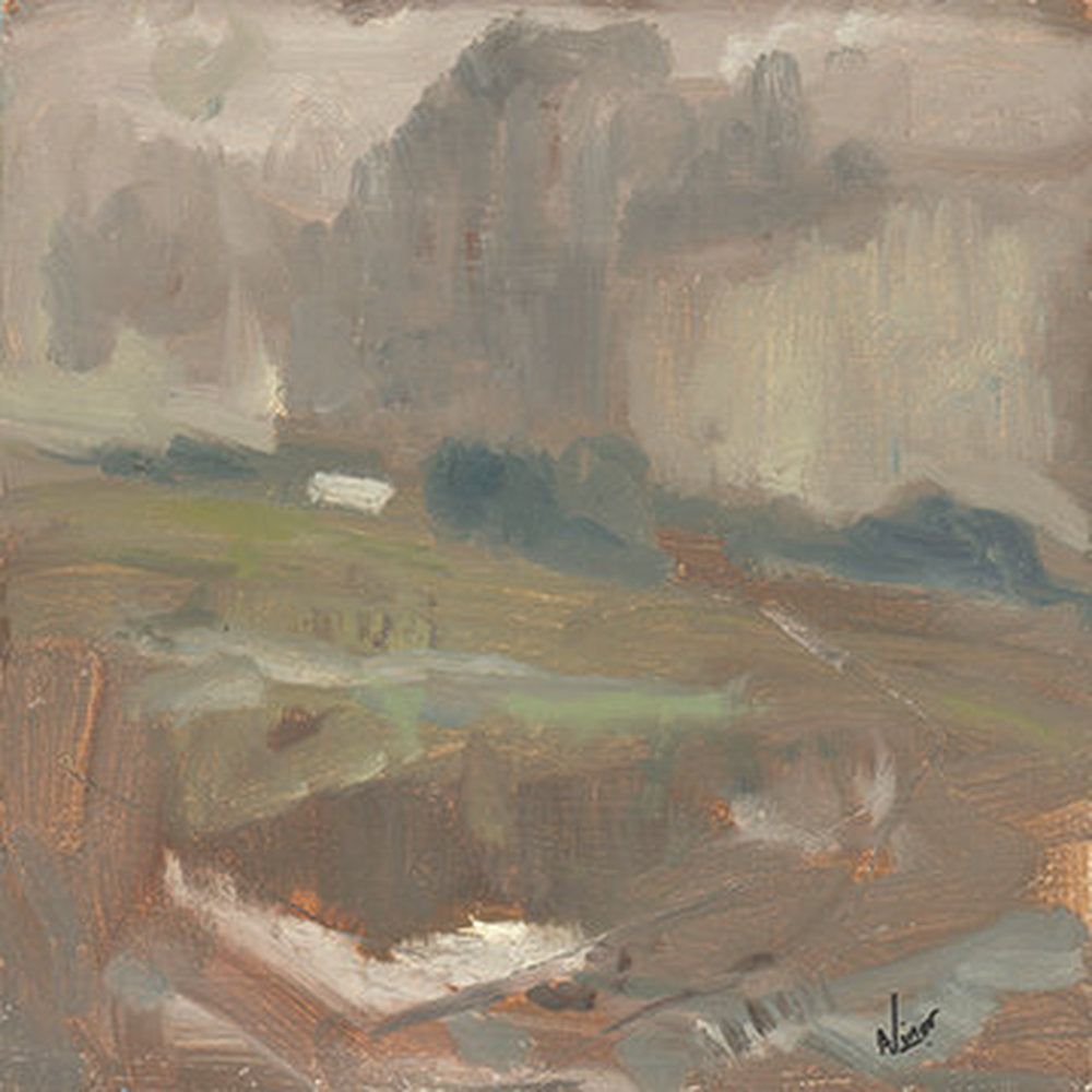 Fields Near Appledore 1