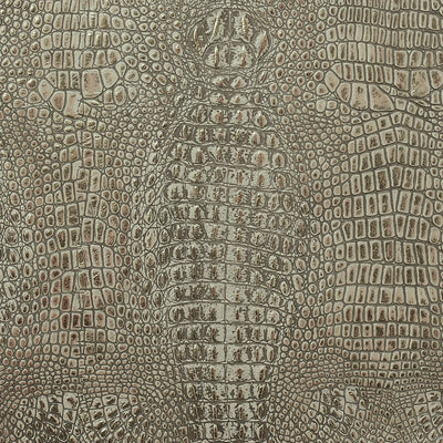 Leather material swatch
