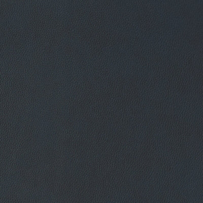 Leather material swatch