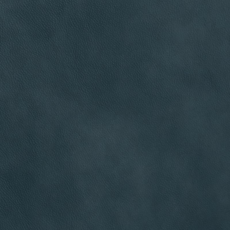 Leather material swatch