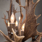 8 Light Elongated Fallow Antler Chandelier Antler Chandelier