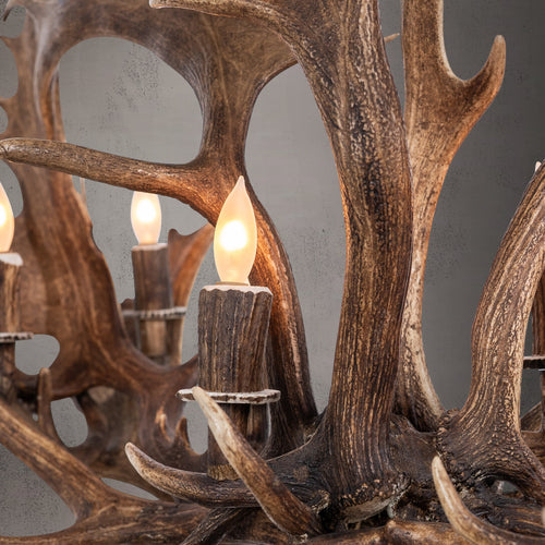 8 Light Elongated Fallow Antler Chandelier Antler Chandelier