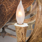 The Blanton - 16 Light Fallow Antler Chandelier