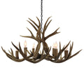 6 Light Mule Deer Antler Chandelier