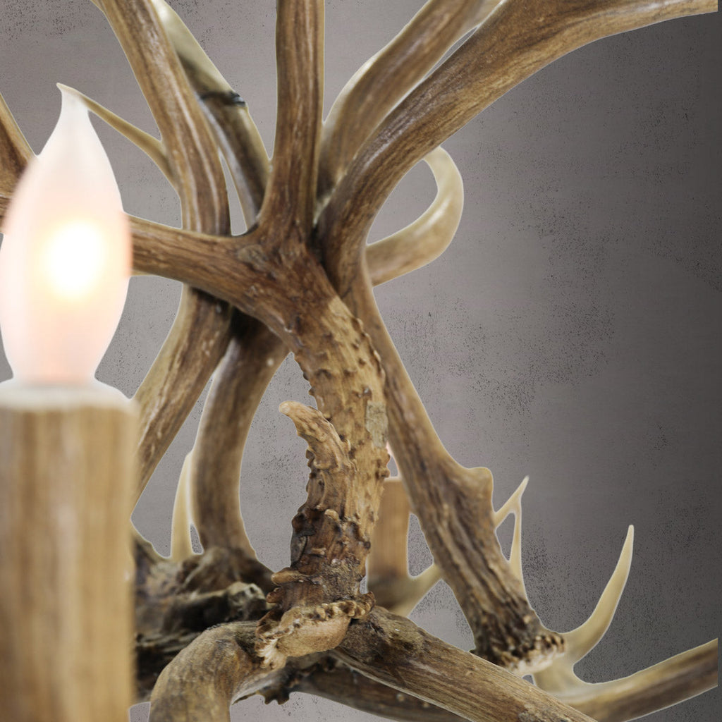 6 Light Mule Deer Antler Chandelier