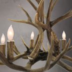 6 Light Mule Deer Antler Chandelier