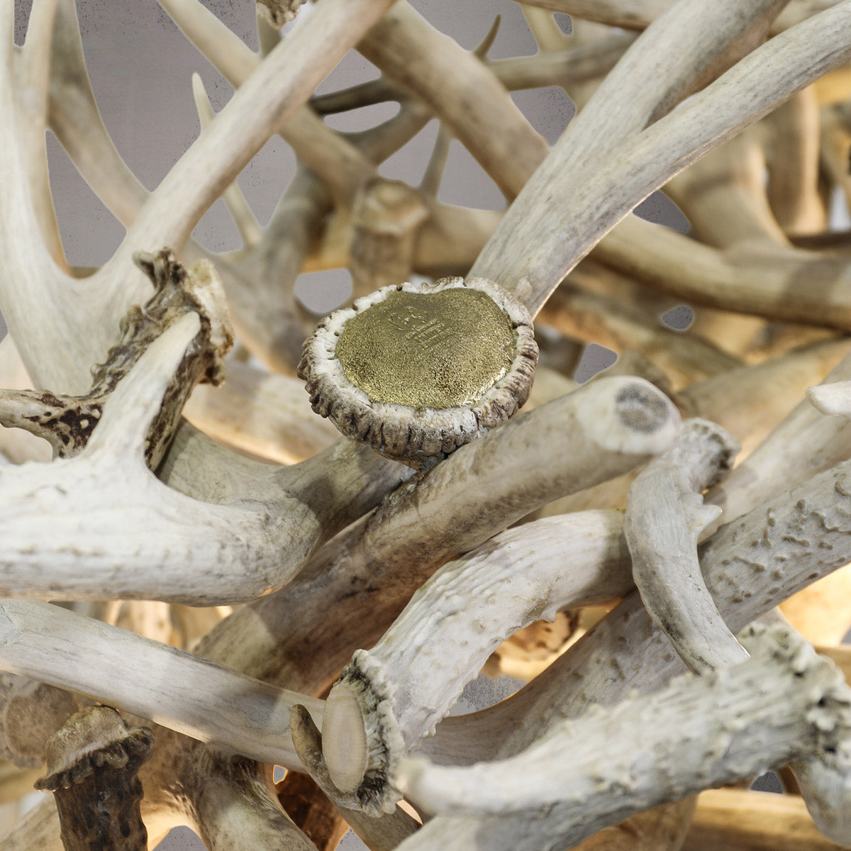 Summit Elite Gold Series Antler Chandelier Antler Chandelier