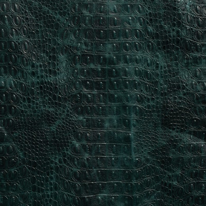 Leather material swatch