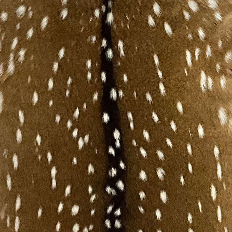 Axis deer hide swatch