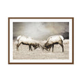 Elk in Profile 1 Wall Art