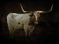 Longhorn 1