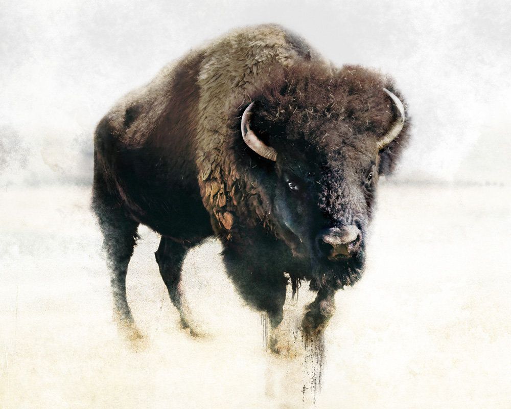 Prairie 1