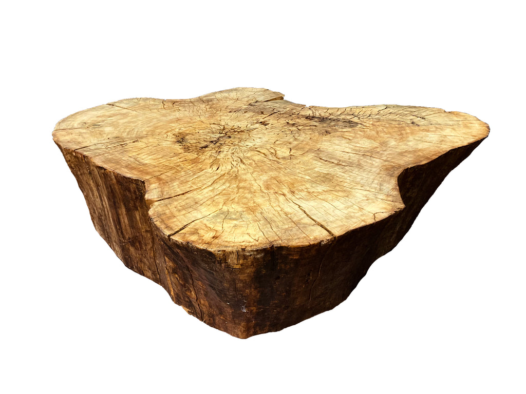 Antero Stump Coffee Table