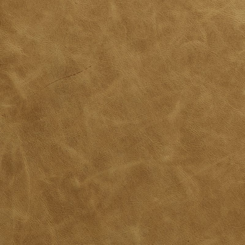 Leather material swatch