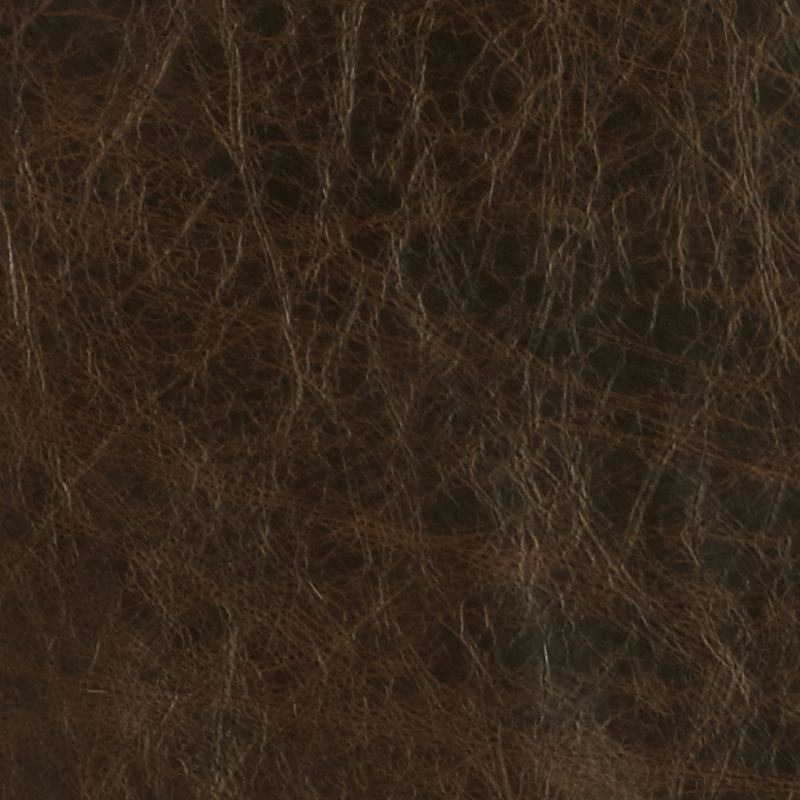 Leather material swatch