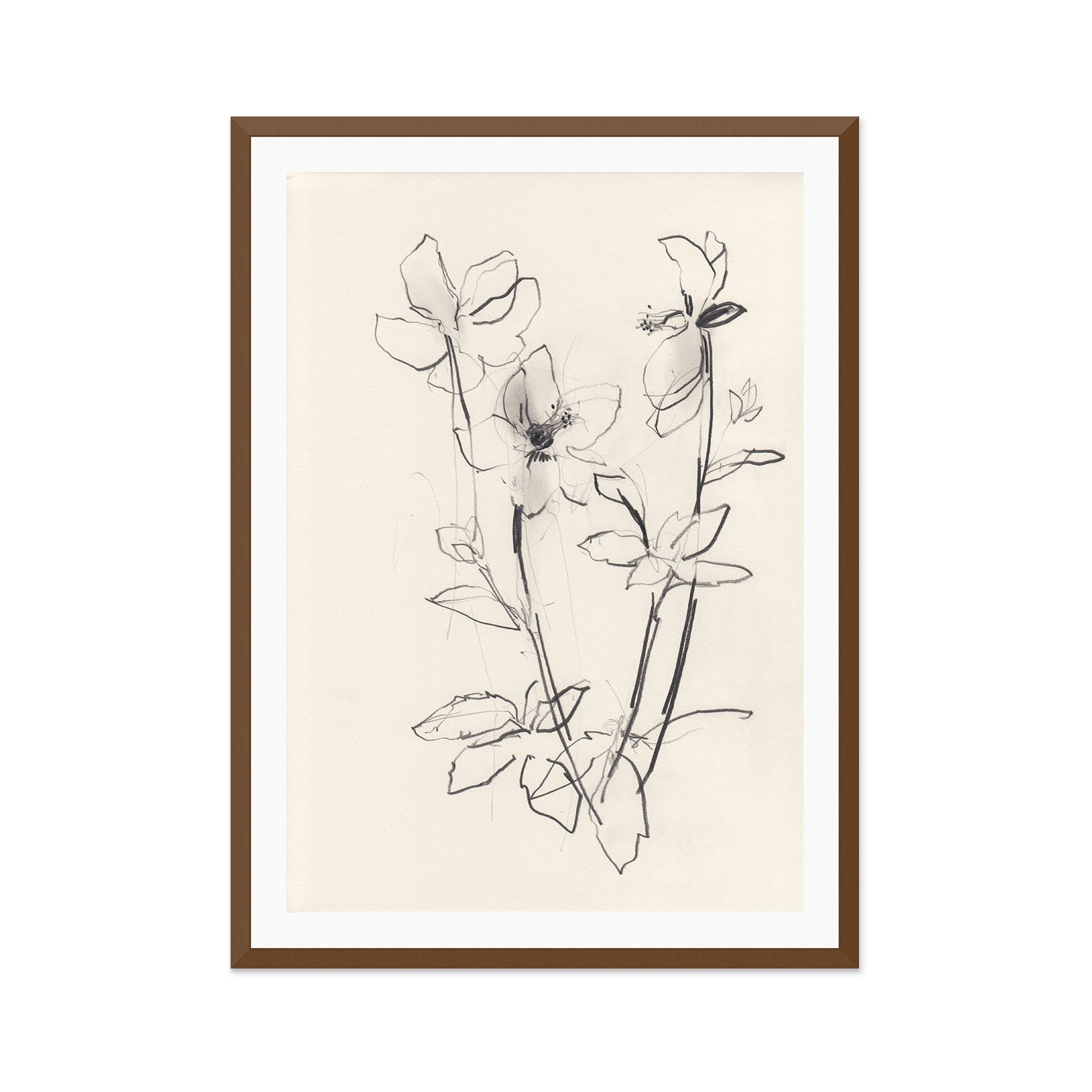 Hellebore Study 1 Wall Art