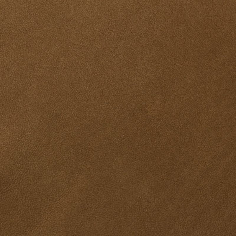 Leather material swatch