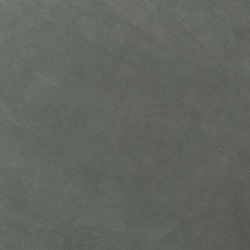 Leather material swatch