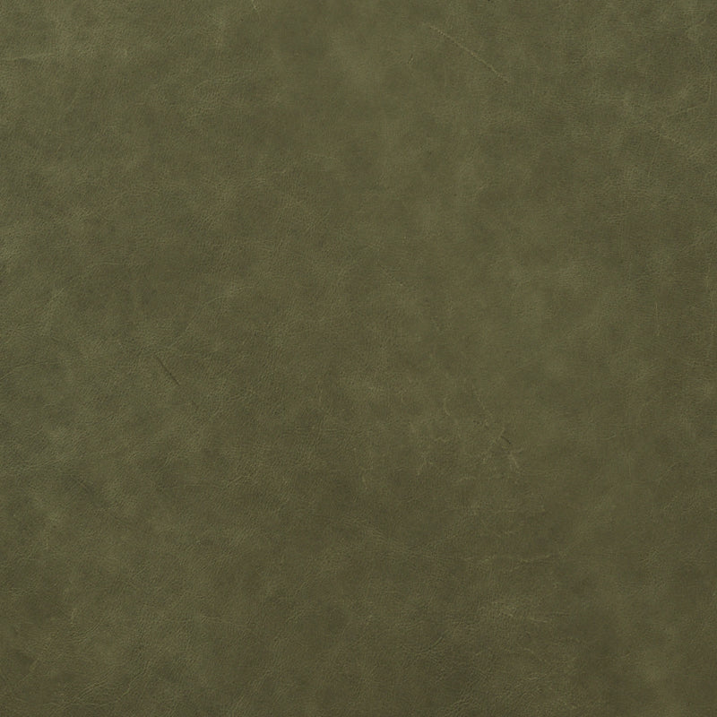 Leather material swatch