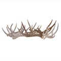 Naturally shed deer antlers with rich texture and organic form. Ideal for rustic or Western home décor—perfect as centerpieces, wall accents, or display pieces. Each antler is one-of-a-kind.