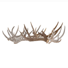 Load image into Gallery viewer, Naturally shed deer antlers with rich texture and organic form. Ideal for rustic or Western home décor—perfect as centerpieces, wall accents, or display pieces. Each antler is one-of-a-kind.