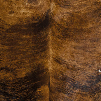 Cowhide Material swatch