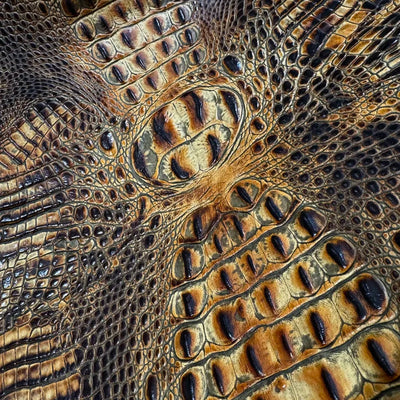 Close-up of crocodile skin with detailed texture