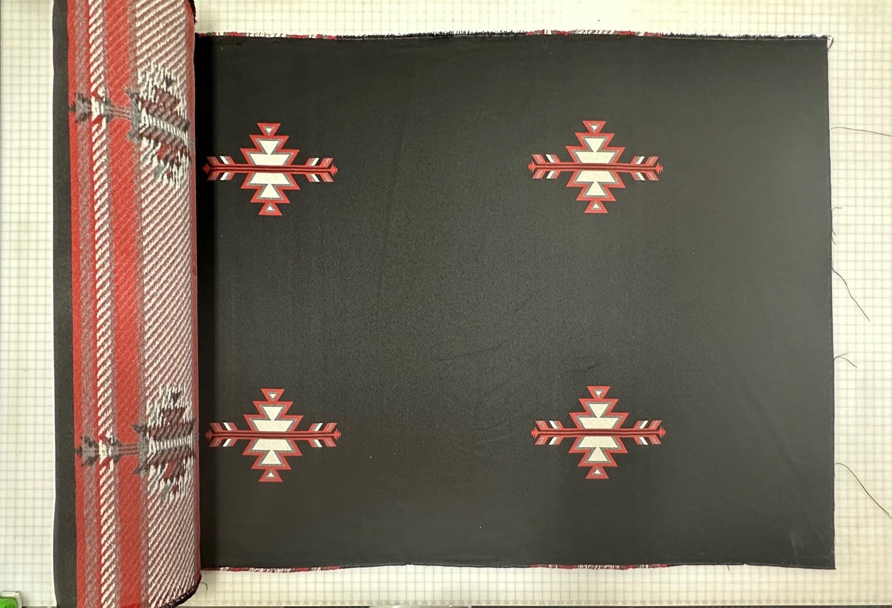 Phantom Ranch Coal Fabric