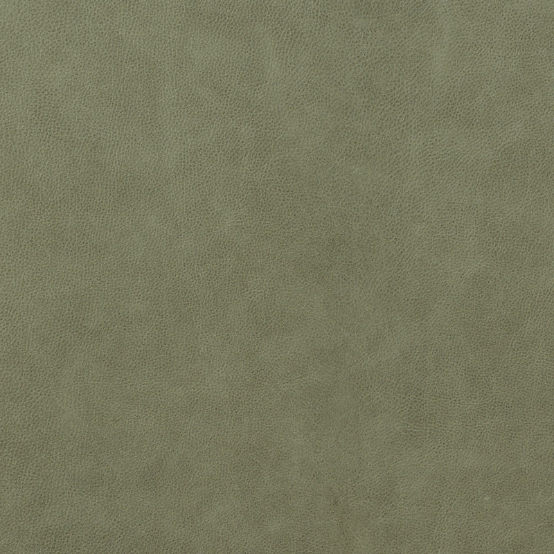 Leather material swatch