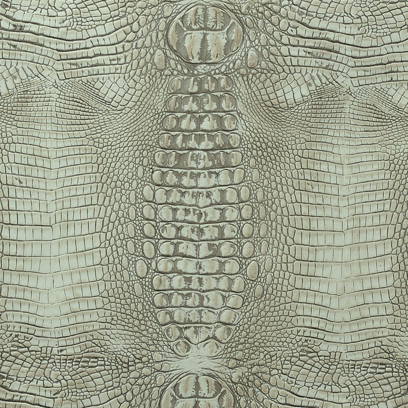 Leather material swatch